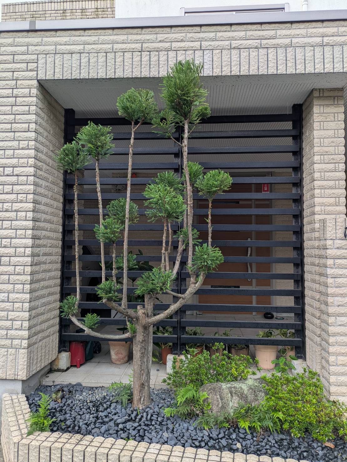 鎌倉市　個人邸様の草刈り、剪定、刈り込み事例